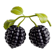 3D Fruit Icon Illustration Blackberry