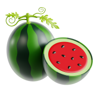 3D Fruit Icon Illustration Watermelon