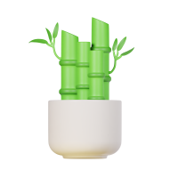 3d Icon Plant Illustration Lucky Bamboo Plant