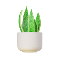 3d Icon Plant Illustration Snake Plant