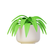 3d Icon Plant Illustration Spider Plant