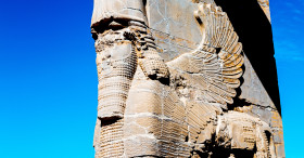 in iran     persepolis