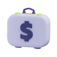 Dollar Suitcase 1