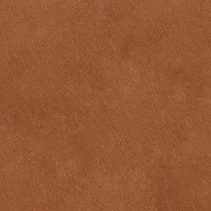 Glossy Polished Leather Texture Background (4)