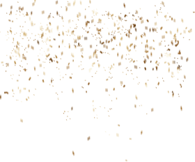 gold confetti overlays (20)