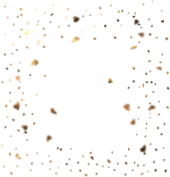 gold confetti overlays (31)