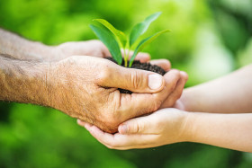 hands young beautiful couple holding little green plant