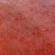 Natural Skin Polished Leather Textured Background (5)