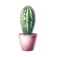 Potted Plant Succulent Cactus (2)