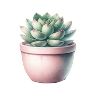 Potted Plant Succulent Cactus (8)