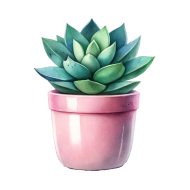 Potted Plant Succulent Cactus (9)