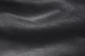 Wrinkled Glossy Skin Black leather Texture Backgroung (6)